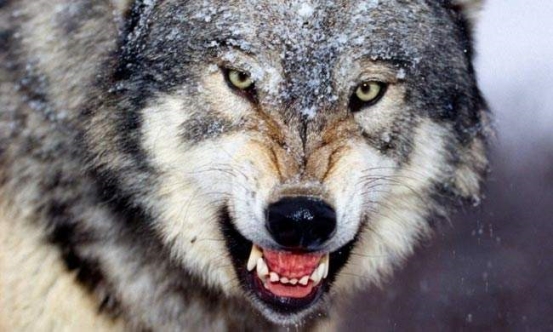 2020年寒冬将至 返乡潮引发地产行业大决战