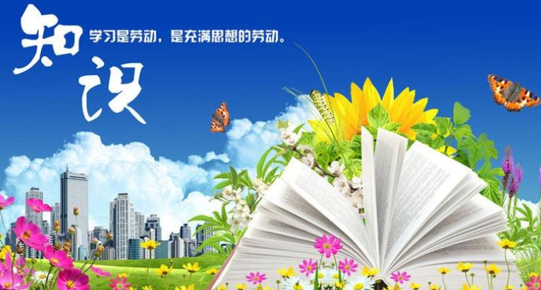 惠南县优秀企业“软环境”打造发展“硬支撑”